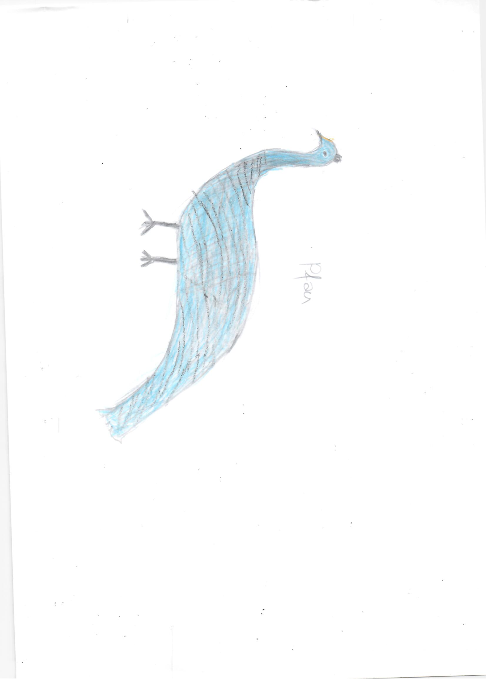 Zeichnung 4